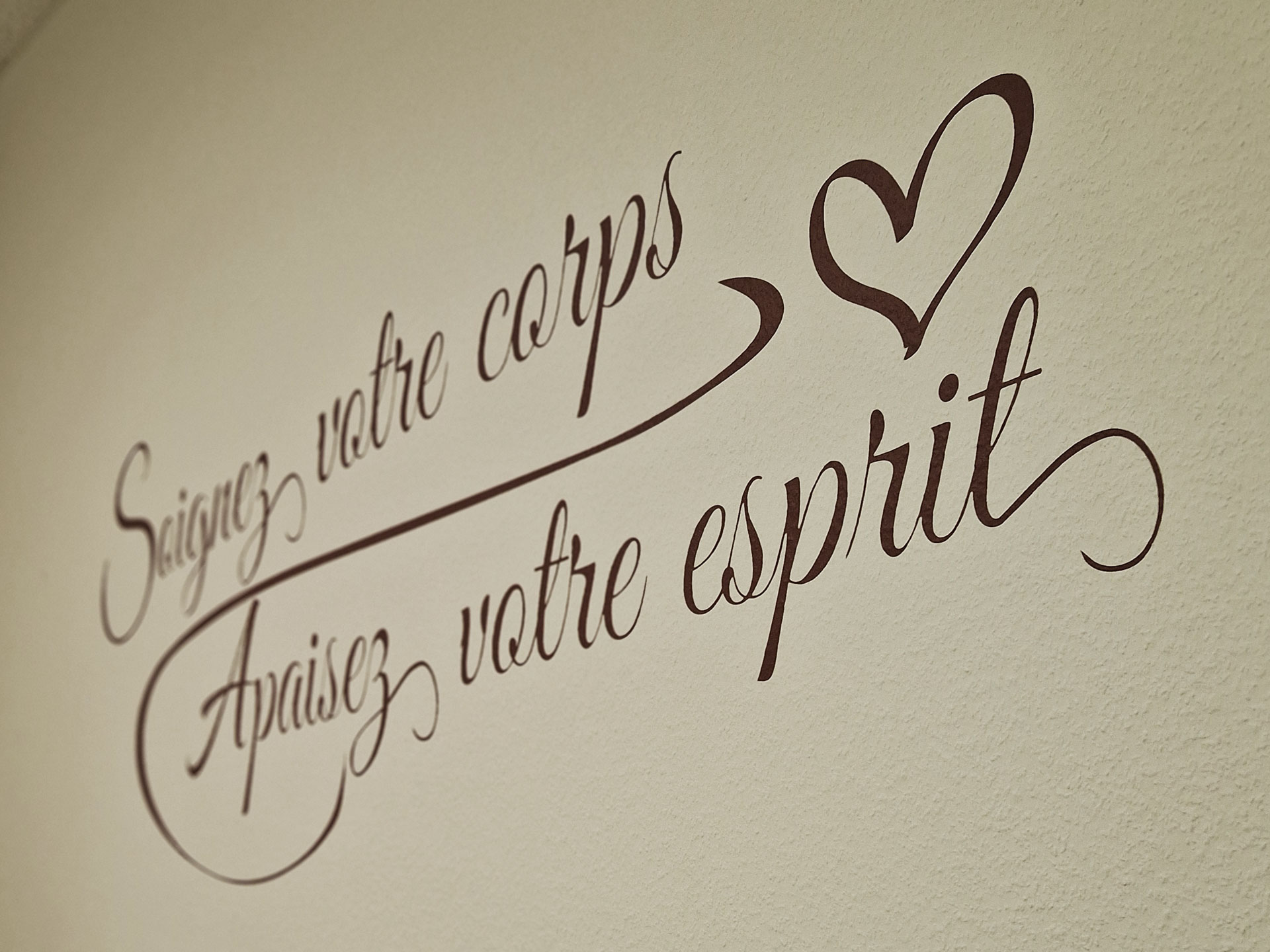 Habillage vitrine commerce